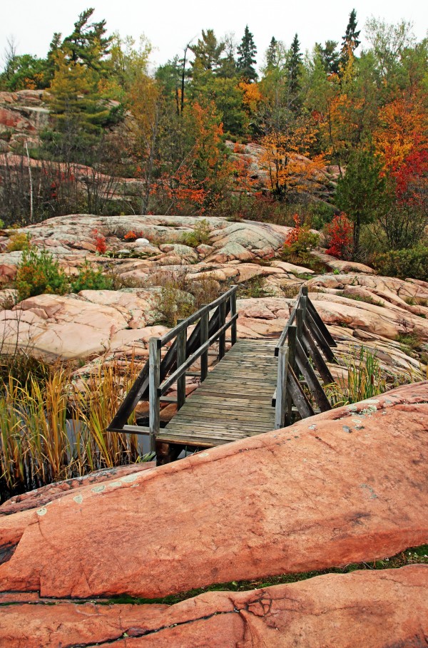 Chikanishing Trail Boardwalk II by Deb Oppermann